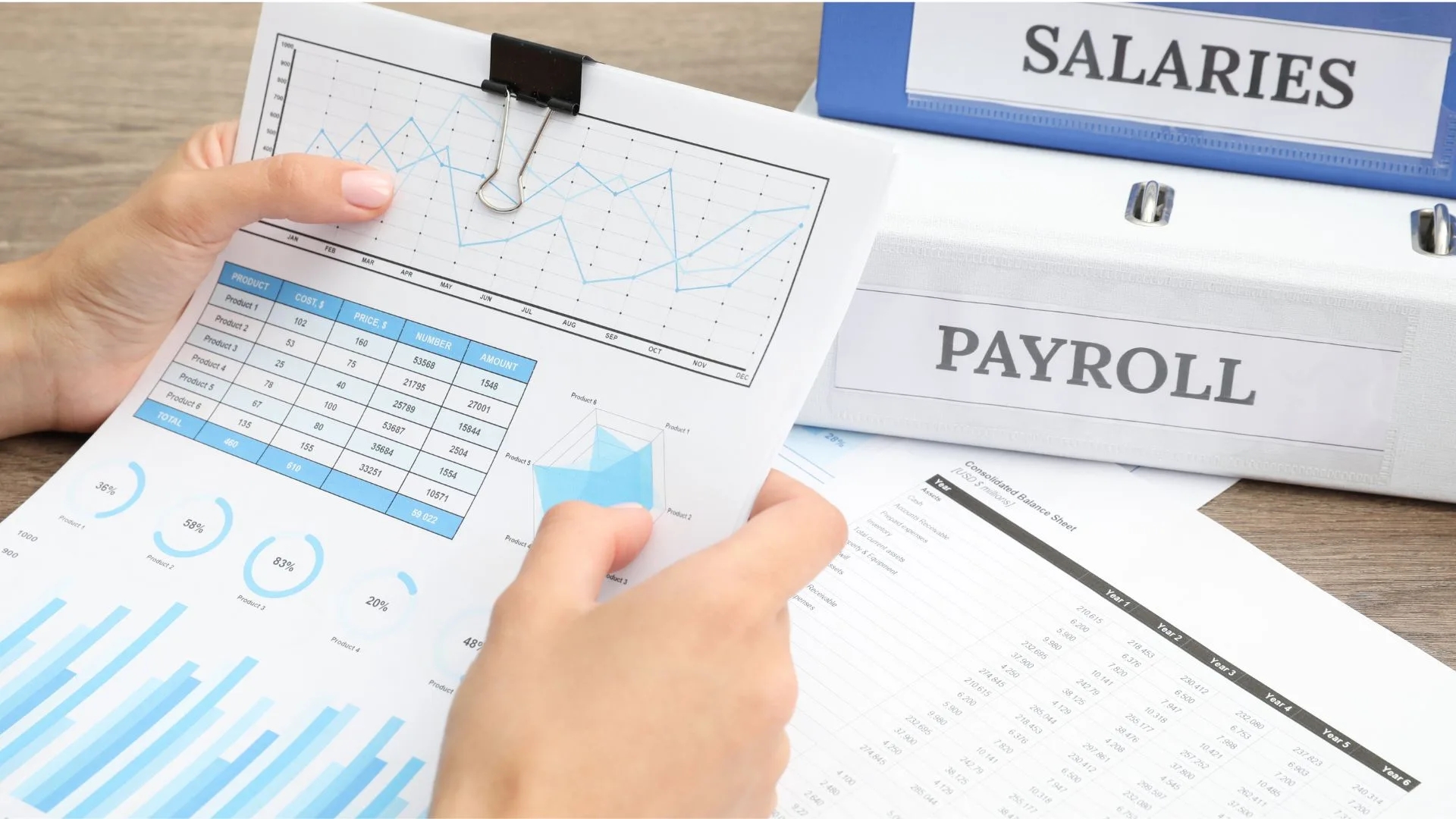 Booksmaniacs Payroll Management Services